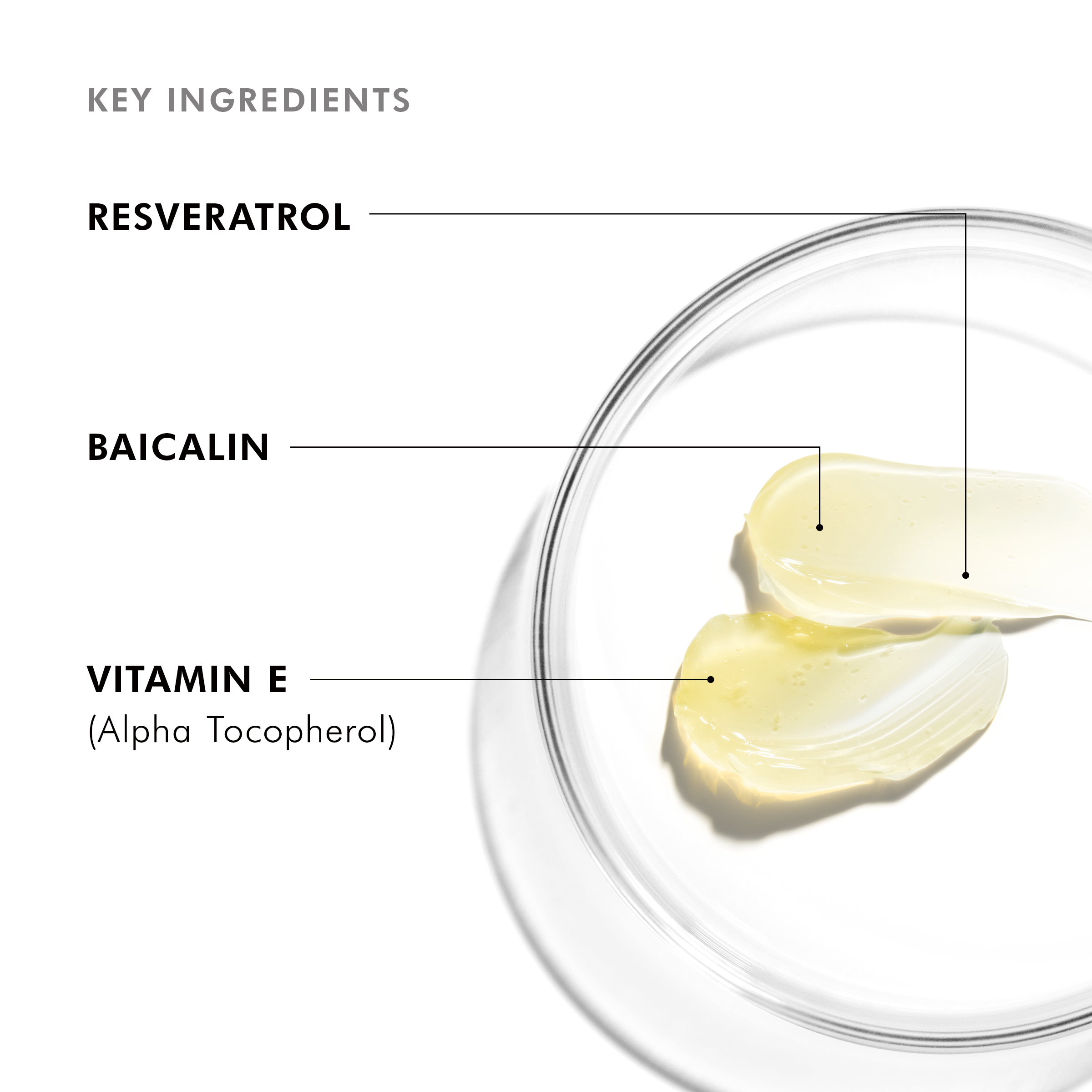 Ingridienter Resveratrol BE serum